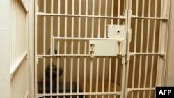 عکس تزئینی است