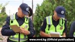 Иллюстрациялык сүрөт.