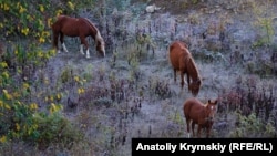 Температура повітря суттєво знизиться