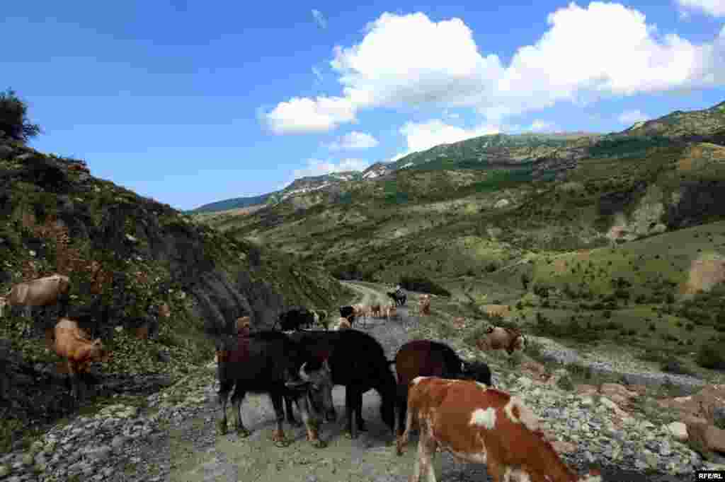 Qubanın Qonaqkənd kəndi #21