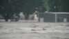 Паводка ў Тэхасе
