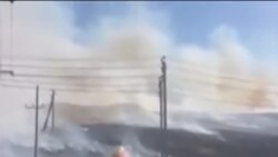 Башкортстандагы эсселек аномаль күренеш дип бәяләнә