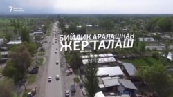 Бийлик аралашкан жер талаш