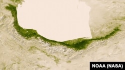 خط سبز باریکی بر کرانه خزر که رو به نابودی‌ست