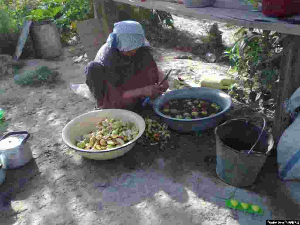 Зиндагии талху ширини занони рустоии тоҷик