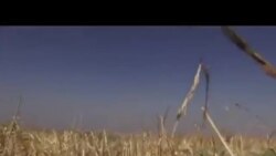 «نیروهای نظامی ایرانی در سوریه»؛ تصاویری که مخالفان اسد منتشر کردند