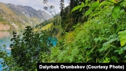 Сары-Челек коругу. 