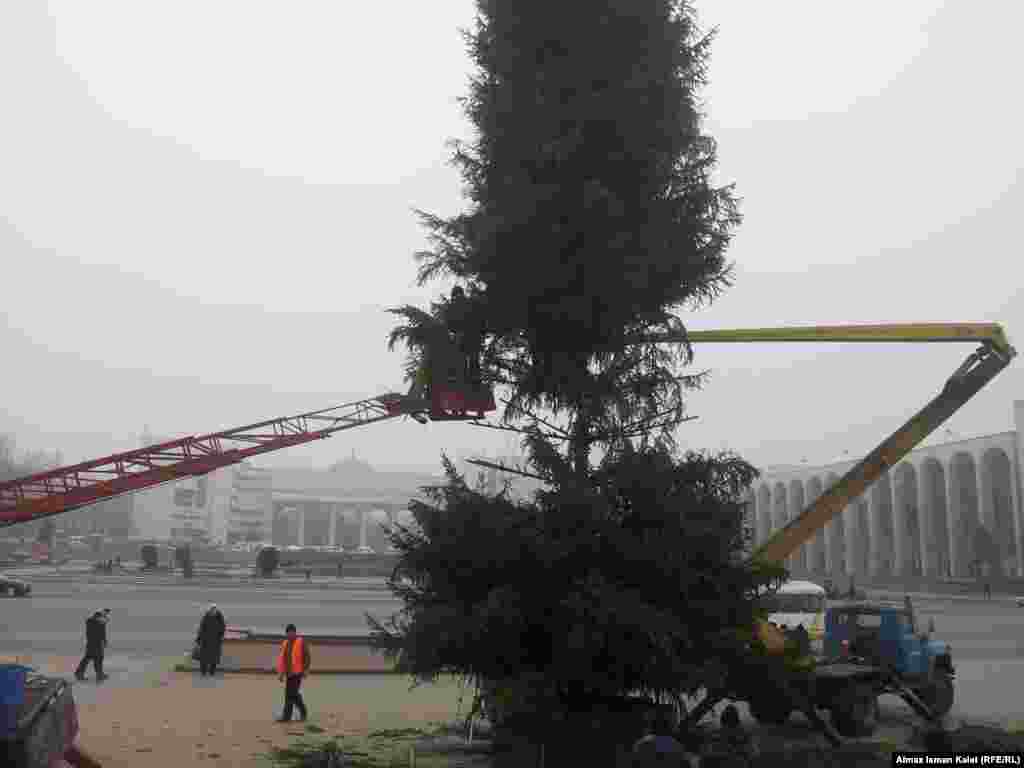 Самая главная елка страны