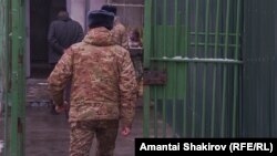 Illýustrasiýa suraty 