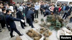 Паліцыя канфіскоўвае вівэравых катоў на рынку ў Гуанчжоў у Кітаі (архіўнае фота)