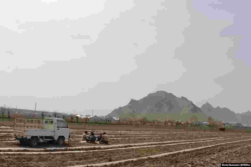 В связи с благоприятными природными условиями в этом году весенние работы начались раньше обычного