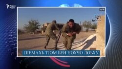 Шема ваханарг лехар, Петарбухахь герзаш кхийсар, 20 шо хьалха динчу зуламах жоп дехар