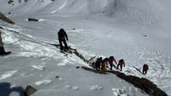 Чаткалдагы кар көчкү алдында калгандарды издөө учуру. 