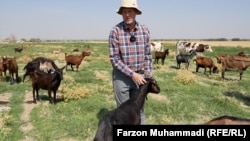 Ҷефрӣ Дилон зиёда аз 20 сол аст, ки дар Тоҷикистон зиндагӣ мекунад