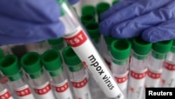 Иллюстрациялык сүрөт.