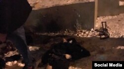 Кхо стаг вийна полисхоша Шелахь.