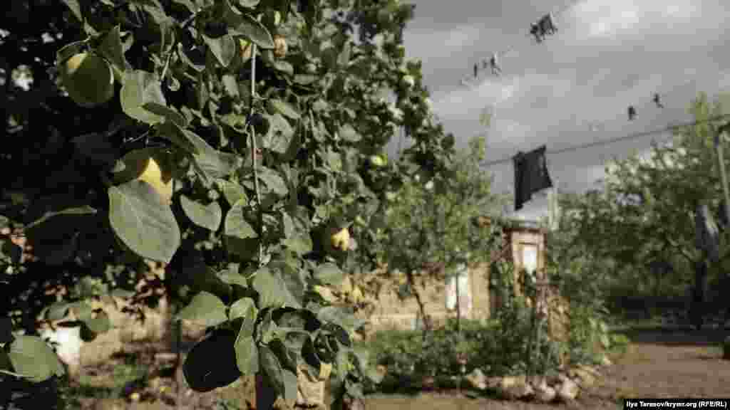 Dua olğan azbarda ayva teregi