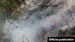 2015-жылдын августунда Чычкан капчыгайындагы өрттү өчүрүүгө Казакстандан тик учак чакырылган.