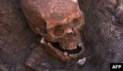 Святые останки