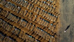 Кладбище в Манаусе (Бразилия), где захоронены жертвы COVID-19.