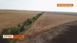 Чому у Криму немає кримських фруктів та овочів?