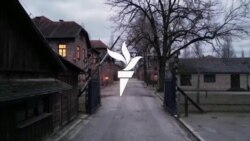 روایت‌های تکان‌دهندهٔ بازماندگان آشوویتس پس از ۸۰ سال