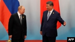 Лидер Китая Си Цзиньпин приглашает президента России Владимира Путина присоединиться к нему после фотосессии на саммите Шанхайской организации сотрудничества (ШОС) в Тяньцзине. 1 сентября 2025 года