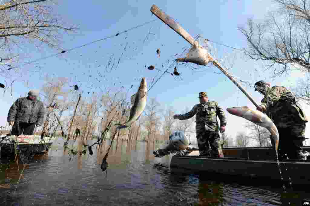 Білорусь &ndash; Риболовні інспектори з затриманим на місці злочину браконьєром, річка Прип&rsquo;ять біля міста Турів, 23 квітня 2013 року
