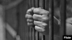 تصویر، تزئینی است.