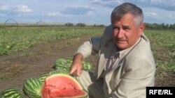 Хөсәен Хәсәнов