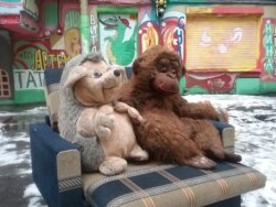 Ёжик и обезьяна грустят по увезенным машинам