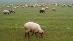 Diňle: Eýranyň bir obasynda etniki türkmenler özleriniň öri meýdanlarynyň ellerinden alynýandygyny aýdýar