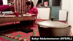 Айчүрөк тамактын камын көрүүдө