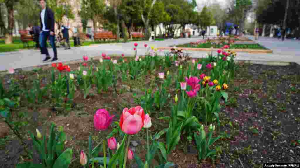 Bala bağçasınıñ eñ büyük çiçekligi
