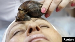 Айымдар сулуулук үчүн баарына кайыл.