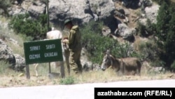 Türkmenistanyş serhet zolaklarynyň birinde gulluk edýän esger (Arhiw suraty)
