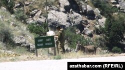 Türkmenistanyň Eýran bilen döwlet araçägi