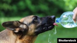 Спекотна погода збережеться і на вихідних