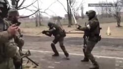 Чалтачаш а, киллерш: Кадыровгахьа Украинехь тIемаш беш муьлш бу