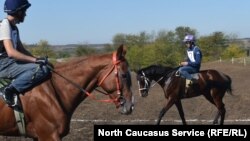 Иллюстрациялык сүрөт