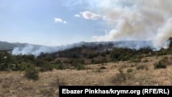 Лесной пожар в Крыму, архивное фото