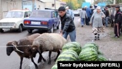 Дарбыз базары