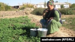 "Daşoguzda ýerli häkimiýetlerden hiç-hili kömek bolmansoň, her kim suw üpçünçilik bilen bagly meseläni özüçe çözmeli bolýar".