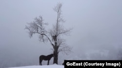 Старый крестьянин и его конь в зимнем лесу (фильм "Кто стучится в дверь мою")
