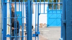 Ваша Свобода | Закон Савченко: скасувати чи скорегувати?