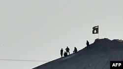 Сириянын Кобани шаарынын жанындагы тоонун чокусуна желек илген "Ислам мамлекети" тобунун согушкерлери.