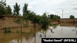 Наводнение в Фархорском районе