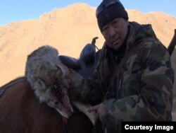 Кадры из фильма "По следам хищника". Фото предоставлено Азаматом Арыковым.