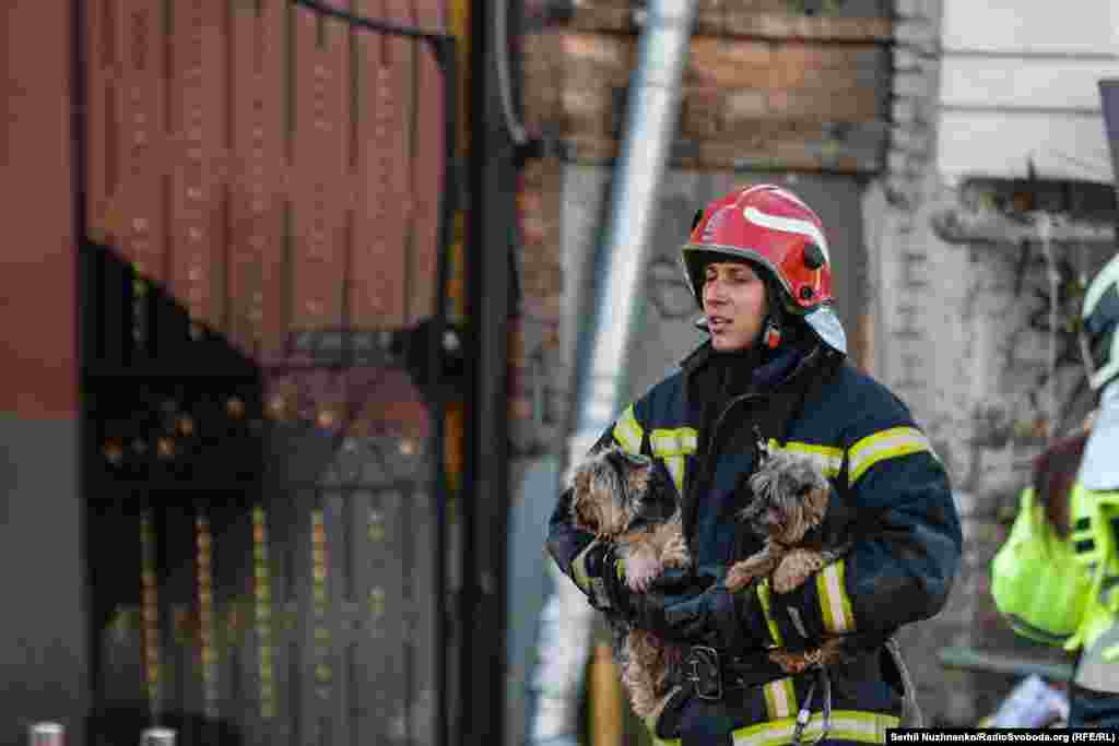 Пожежник рятує двох йоркширських тер'єрів з пошкодженого російським ракетним ударом будинку. Київ, 10 жовтня 2022 року 