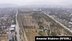 Ботаникалык бак. 2025-жылдын 29-июлу.